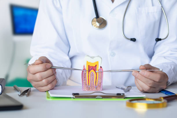 Best Emergency Root Canal Treatment in Fruitridge Pocket, CA